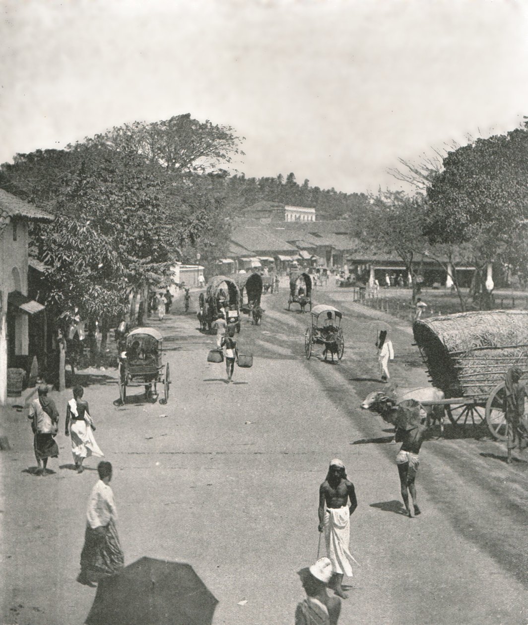 Escena callejera cerca del Ayuntamiento, Colombo, Ceilán, 1895 de W and S Ltd