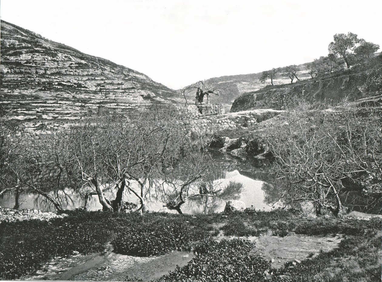 El estanque de Siloé, Jerusalén, Palestina, 1895 de W and S Ltd