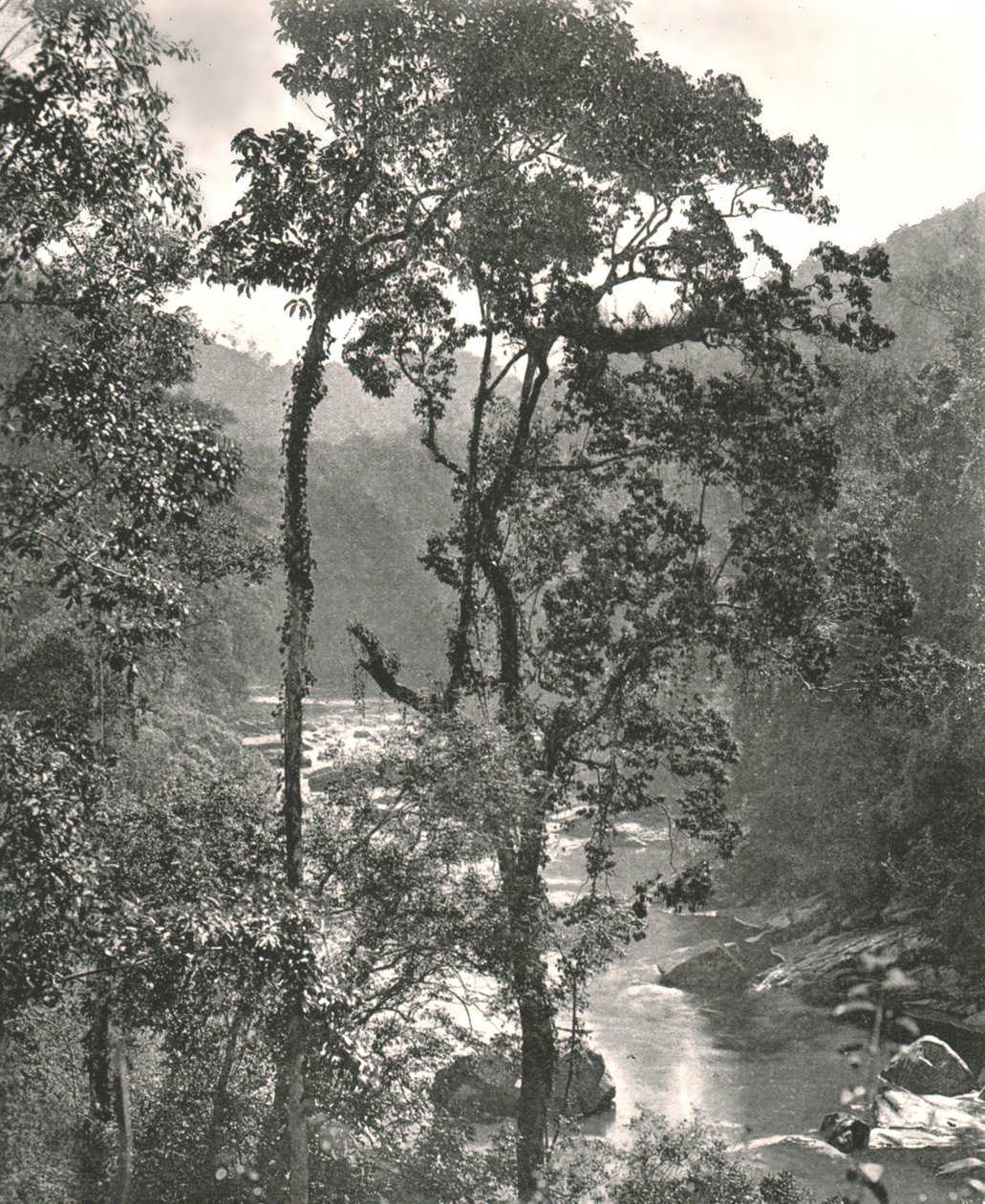 Vista del río Kelani, Kurunegala, Ceilán, 1895 de W and S Ltd
