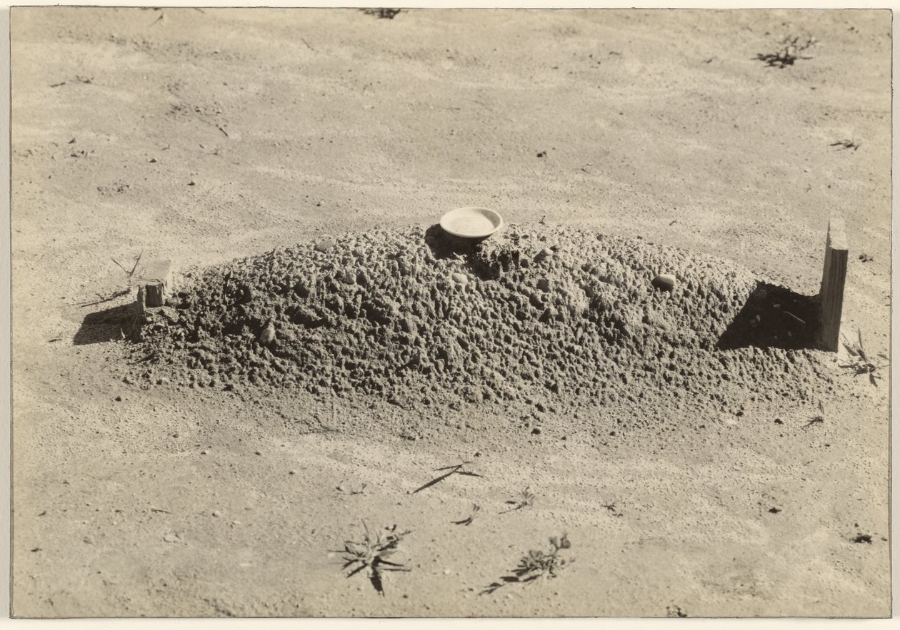 Una tumba baptista, condado de Hale, Alabama de Walker Evans