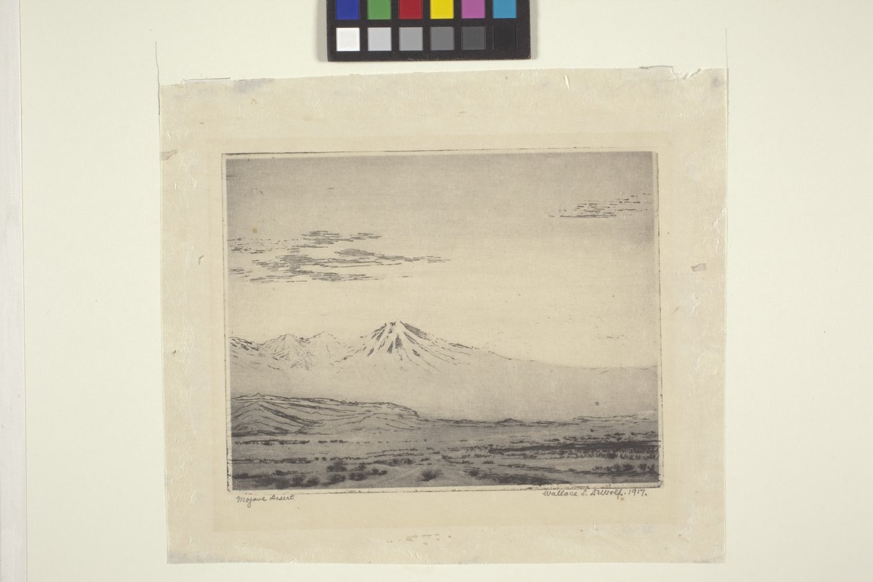 Desierto de Mojave de Wallace Leroy DeWolf