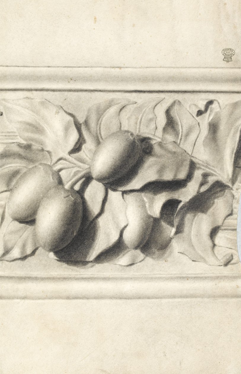 Dibujo de frutas de un molde de yeso en relieve de Walter Bonner Gash