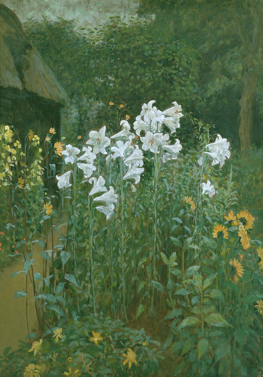 Lirios de Madonna en un jardín de Walter Crane