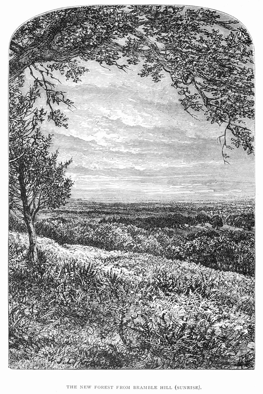 El Nuevo Bosque: su historia y su paisaje de Walter Crane