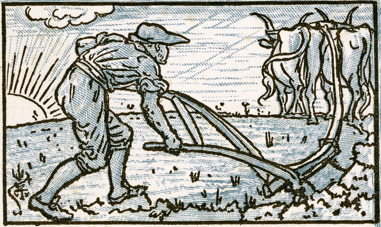 El labrador, ilustración de la canción 