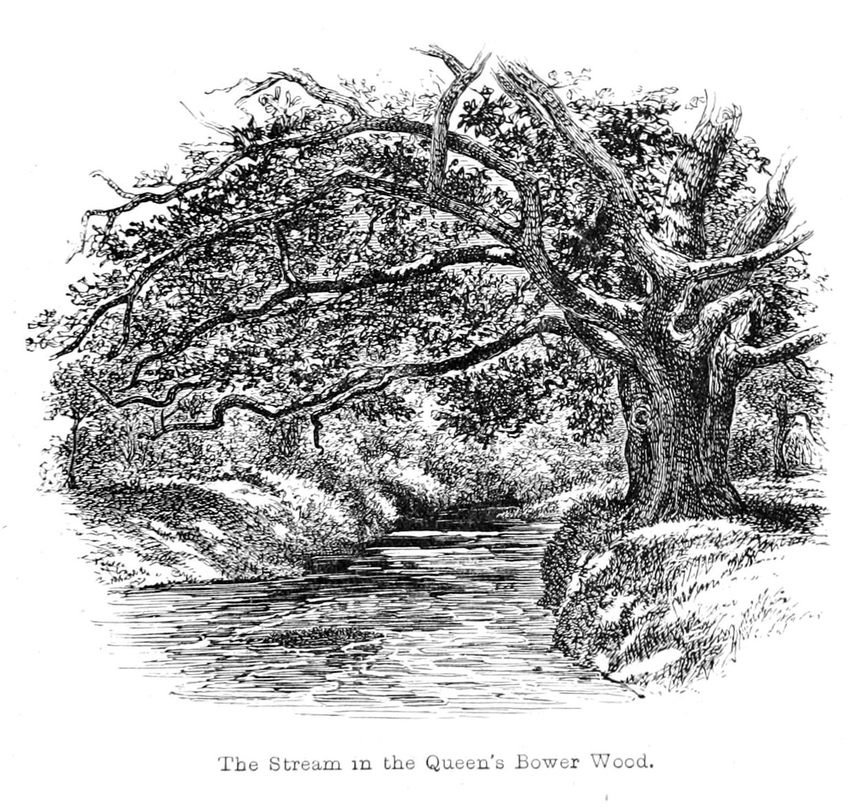 El Arroyo en el Bosque de Queens Bower de Walter Crane