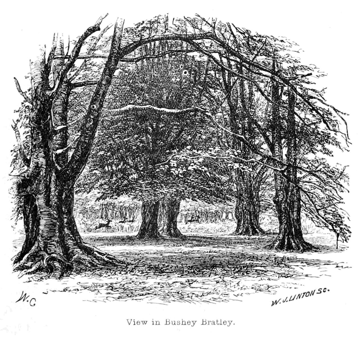 Vista en Bushey Bratley de Walter Crane