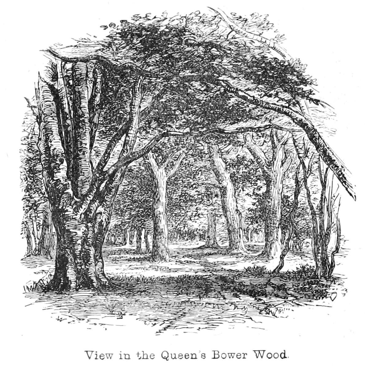 Vista en el Bosque de Queens Bower de Walter Crane