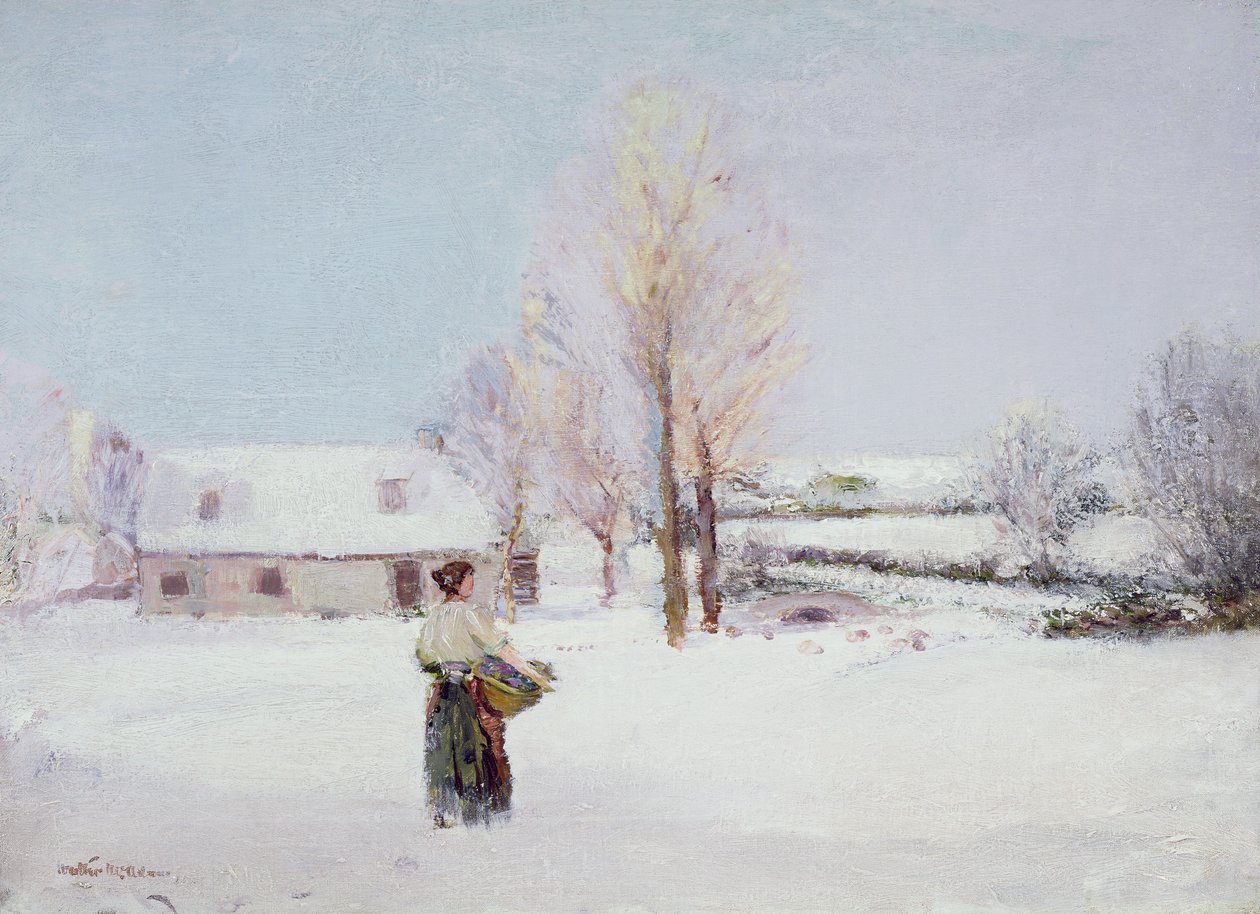 Paseo por la nieve de Walter McAdam