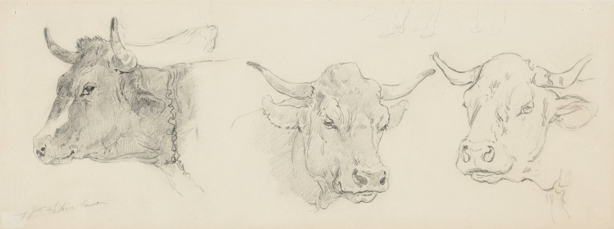 Estudio de ganado para Esquila de ovejas, 1872-77 de Walter Shirlaw
