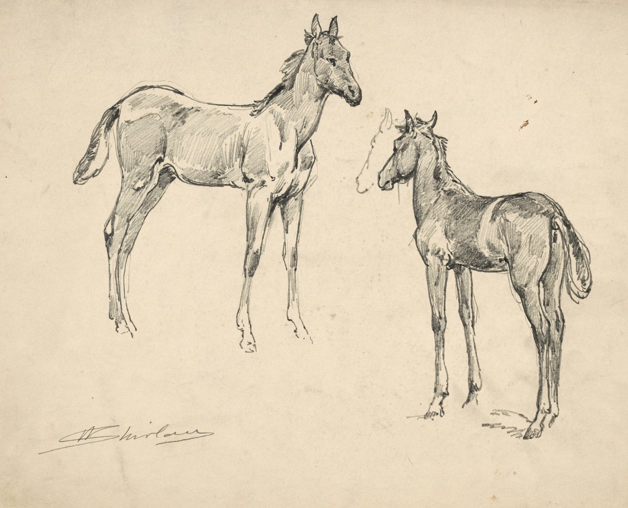 Estudio de dos potros de Walter Shirlaw