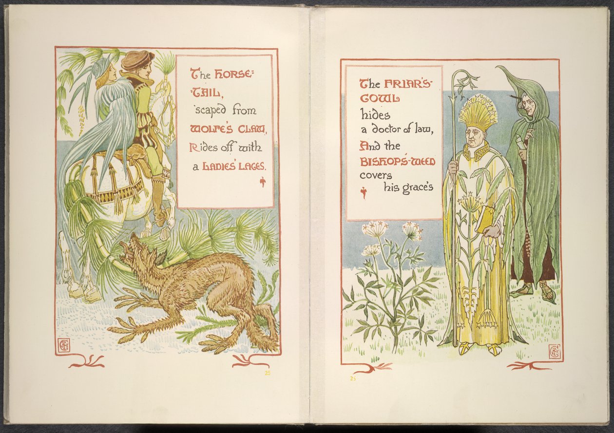 Cola de caballo y capucha de fraile de Walter Crane