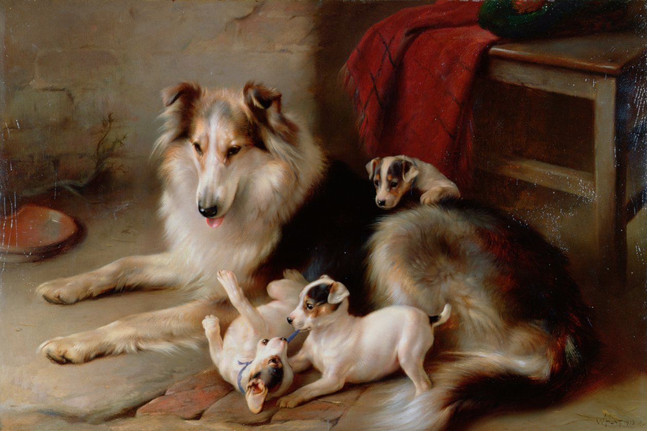 Un Collie con Cachorros de Fox Terrier, 1913 de Walter Hunt