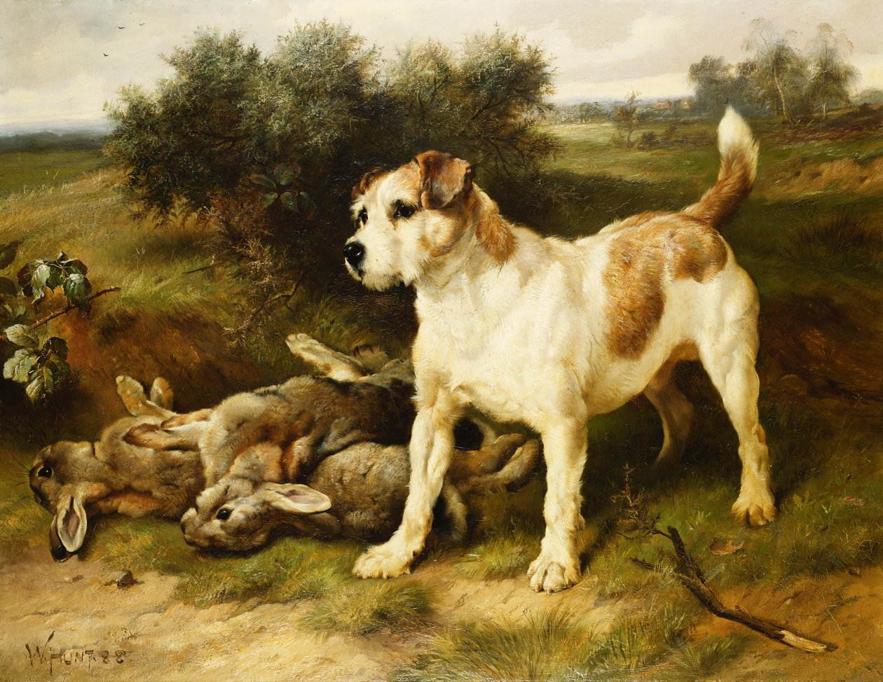 Un fox terrier con la presa del día de Walter Hunt
