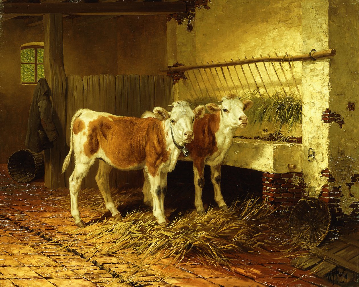 Dos terneros en un establo de Walter Hunt