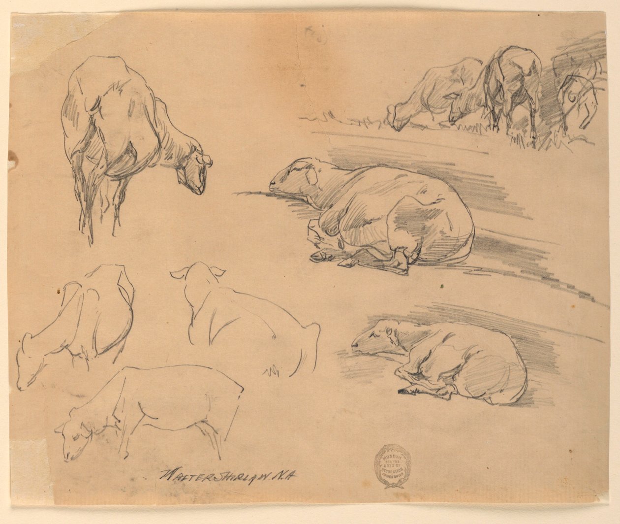 Bocetos de ovejas de Walter Shirlaw