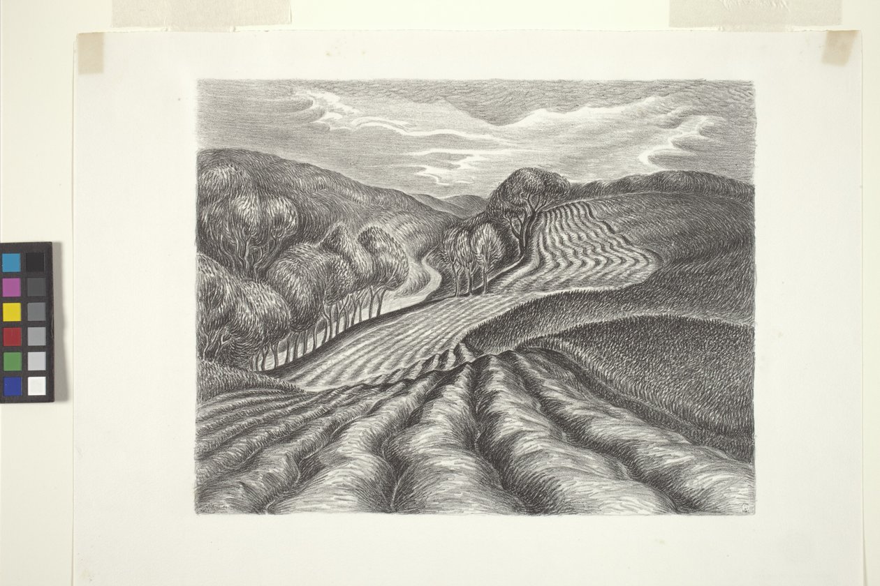 Campos arados (tinta, lápiz) de Wanda Gág