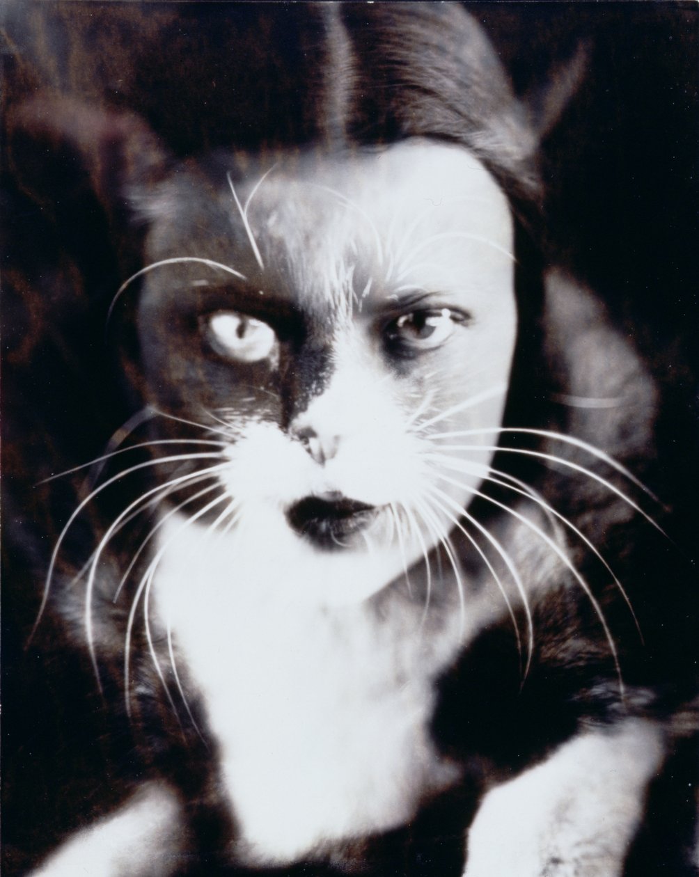 El gato y yo de Wanda Wulz