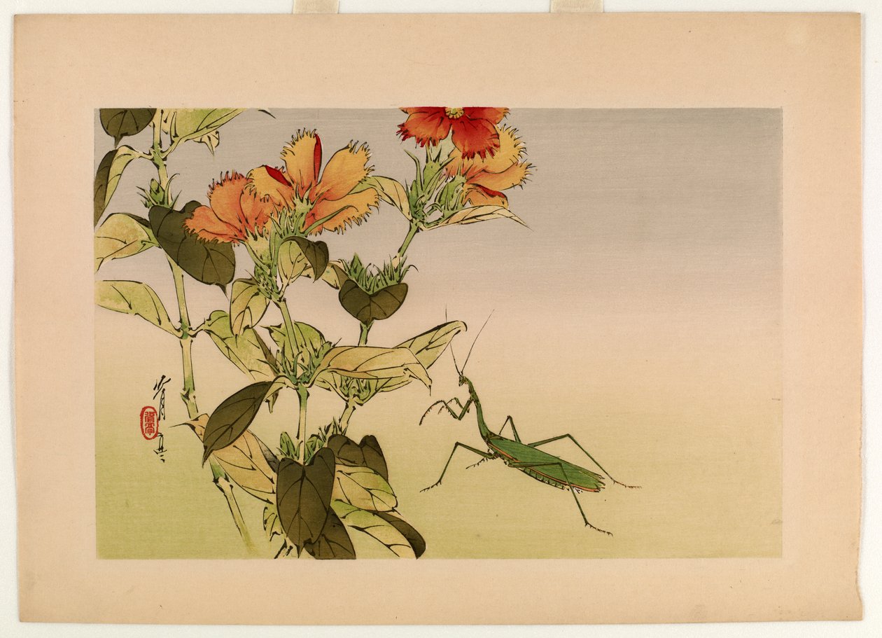 Flor de Campion y Mantis Religiosa, de la serie Flores y Pájaros de Seitei, 1916 de Watanabe Seitei