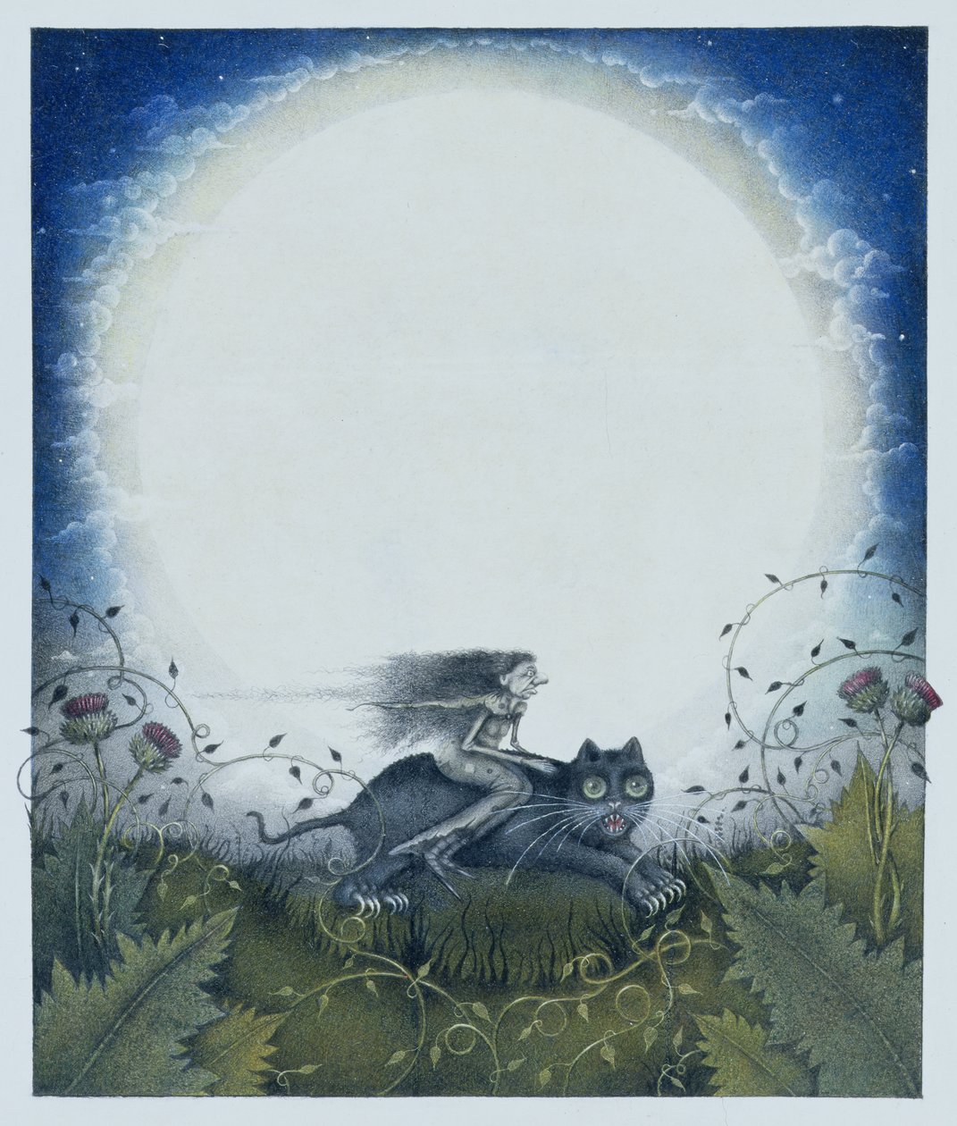 Bruja escocesa sobre gato negro (lápiz y lápiz de color sobre papel) de Wayne Anderson