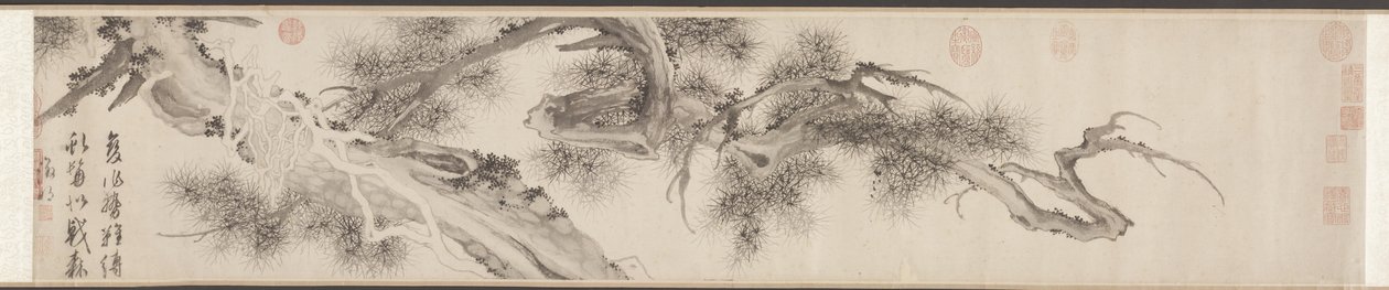Viejo pino, finales de la década de 1530 de Wen Zhengming