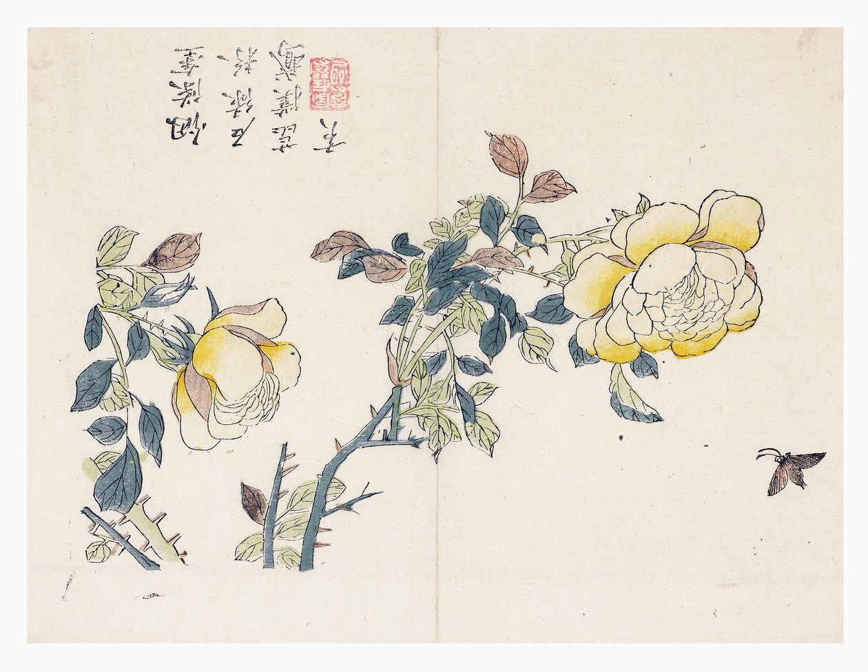 Jardín de semillas de mostaza de Wen shu Chao