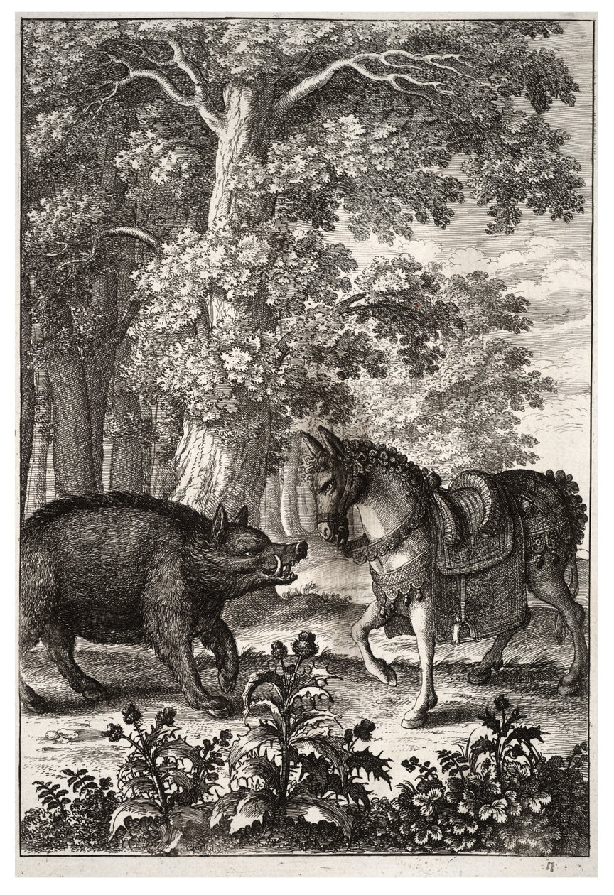 Jabalí y asno de Wenceslaus Hollar