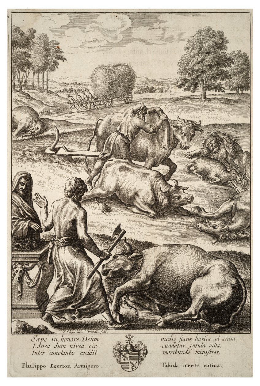 Plaga de ganado. Estado 2 de Wenceslaus Hollar