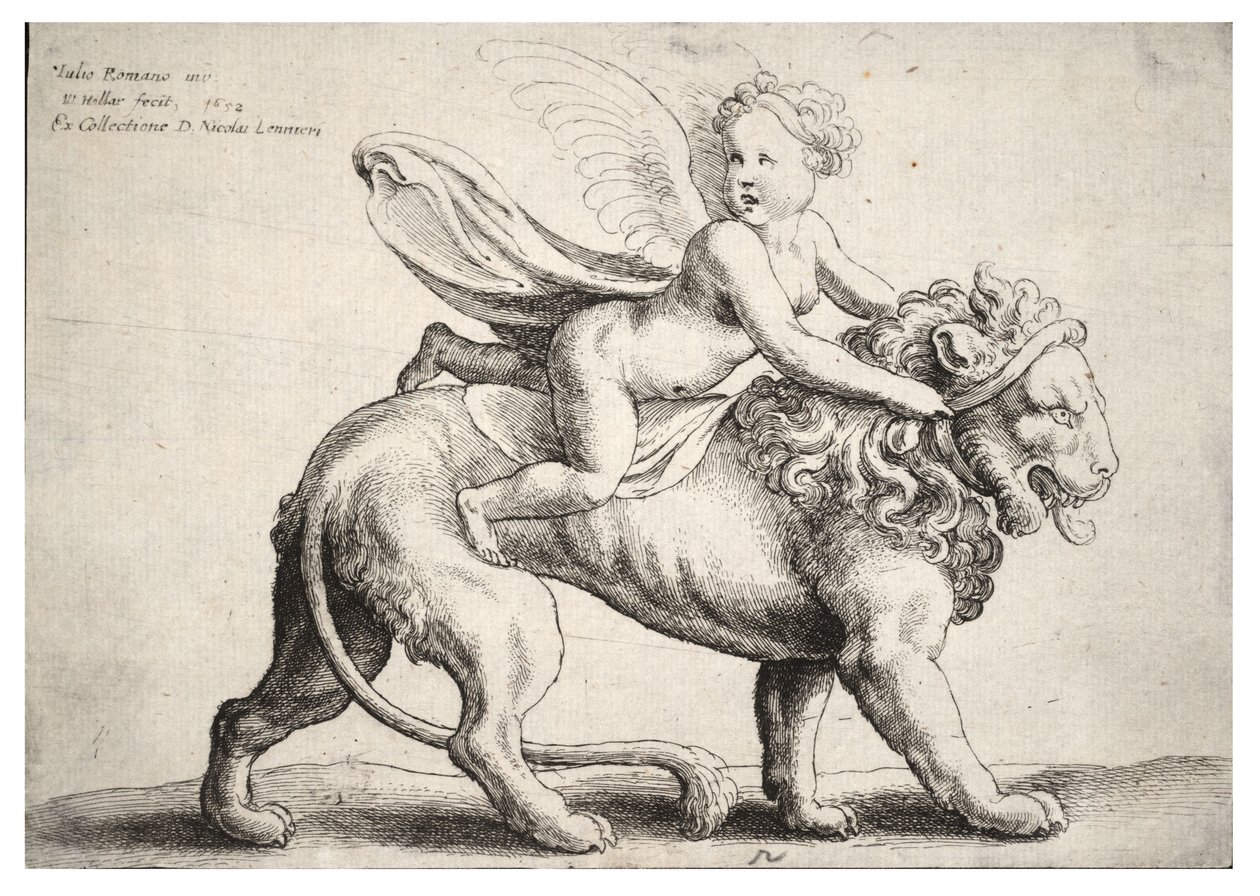 Cupido en un león, después de Giulio Romano de Wenceslaus Hollar