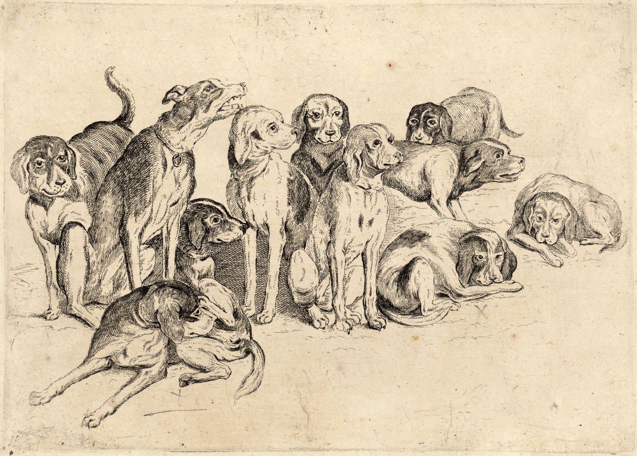 Once perros de caza de Wenceslaus Hollar