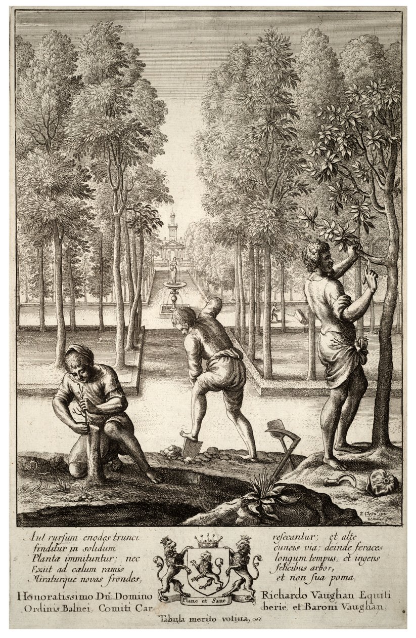 Jardinería. Estado 1 de Wenceslaus Hollar