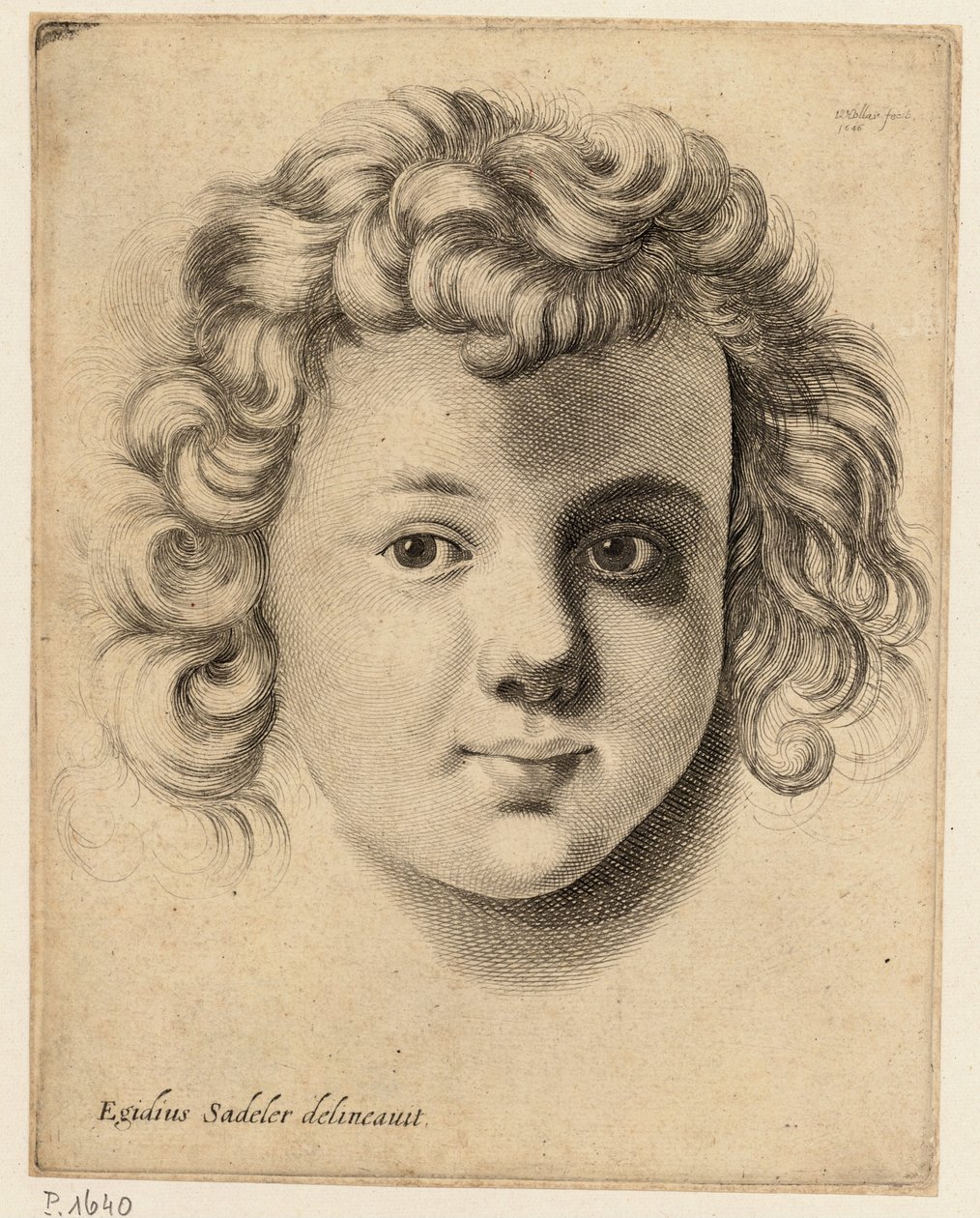 Cabeza de un niño, después de Sadeler de Wenceslaus Hollar