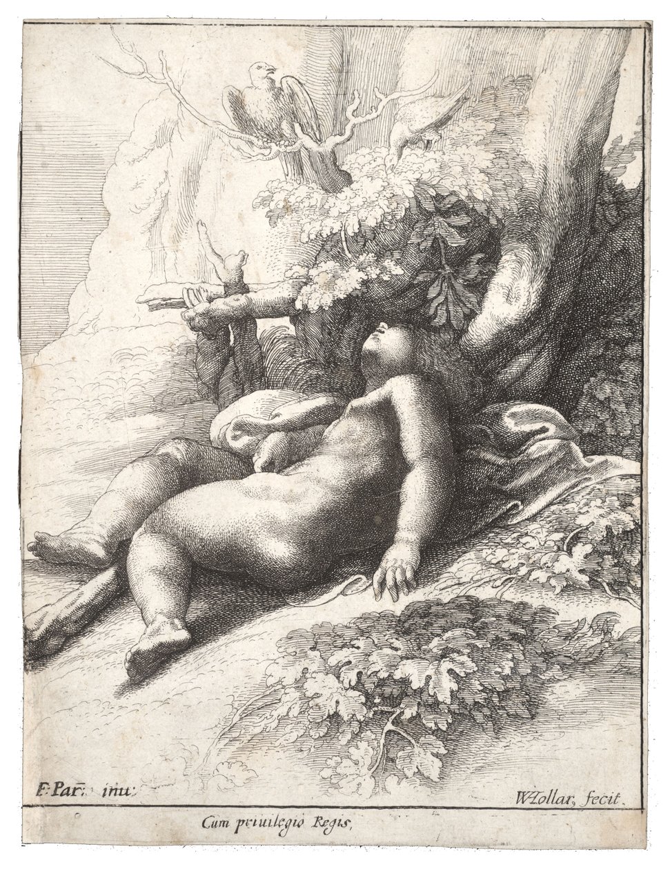 Hércules infante dormido, después de Parmegiano. Estado 4 de Wenceslaus Hollar