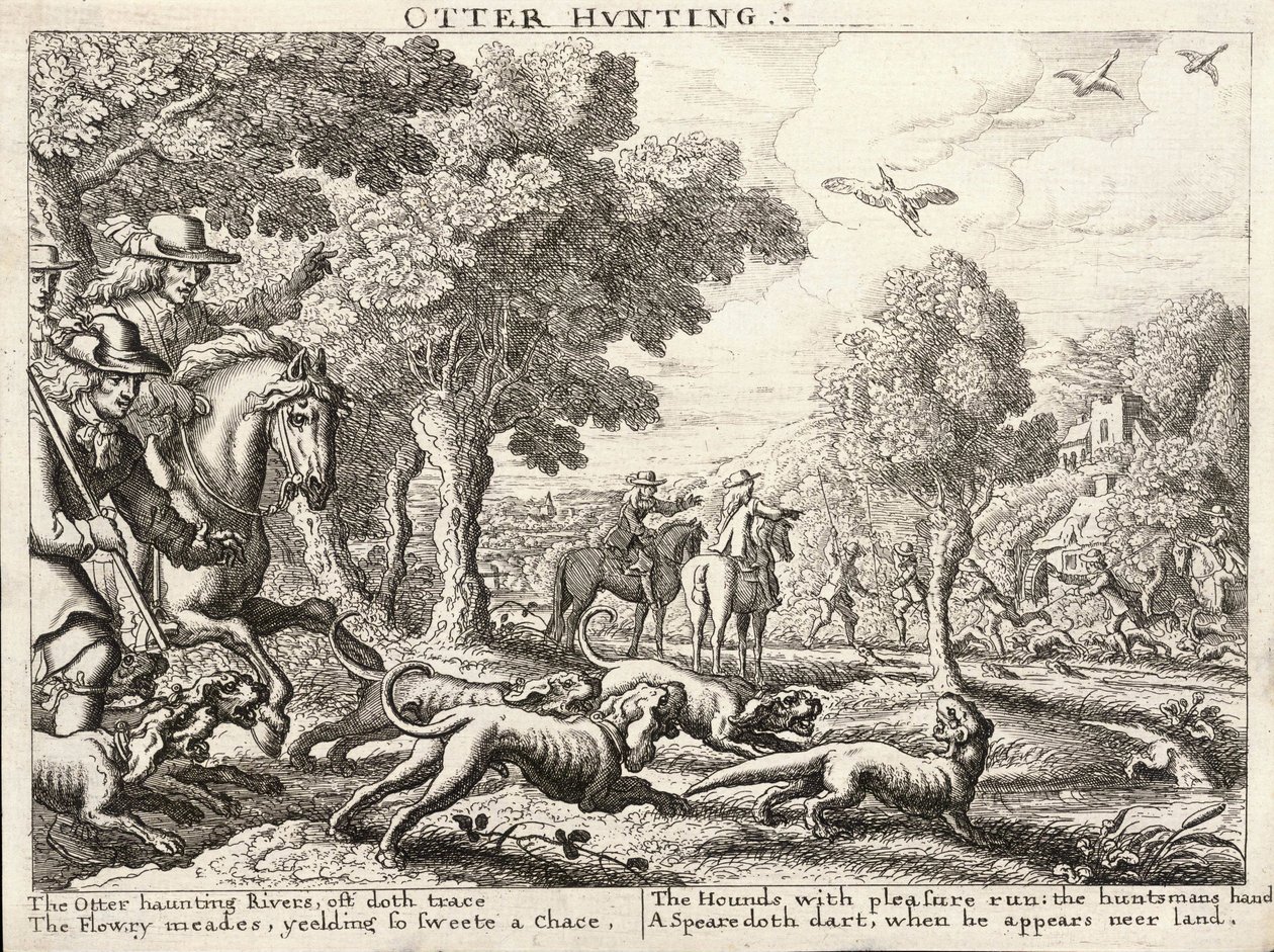 Caza de nutrias de Wenceslaus Hollar