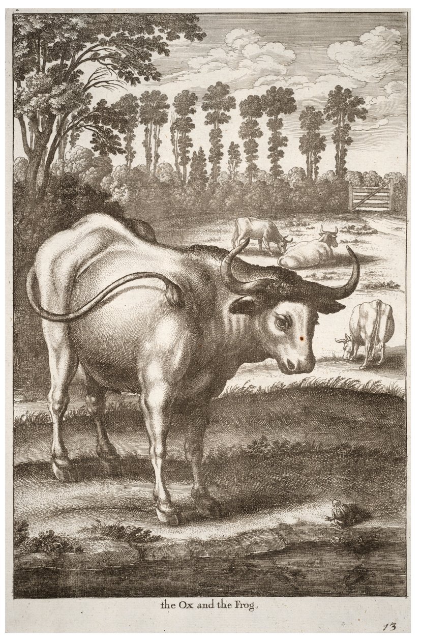Buey y rana de Wenceslaus Hollar