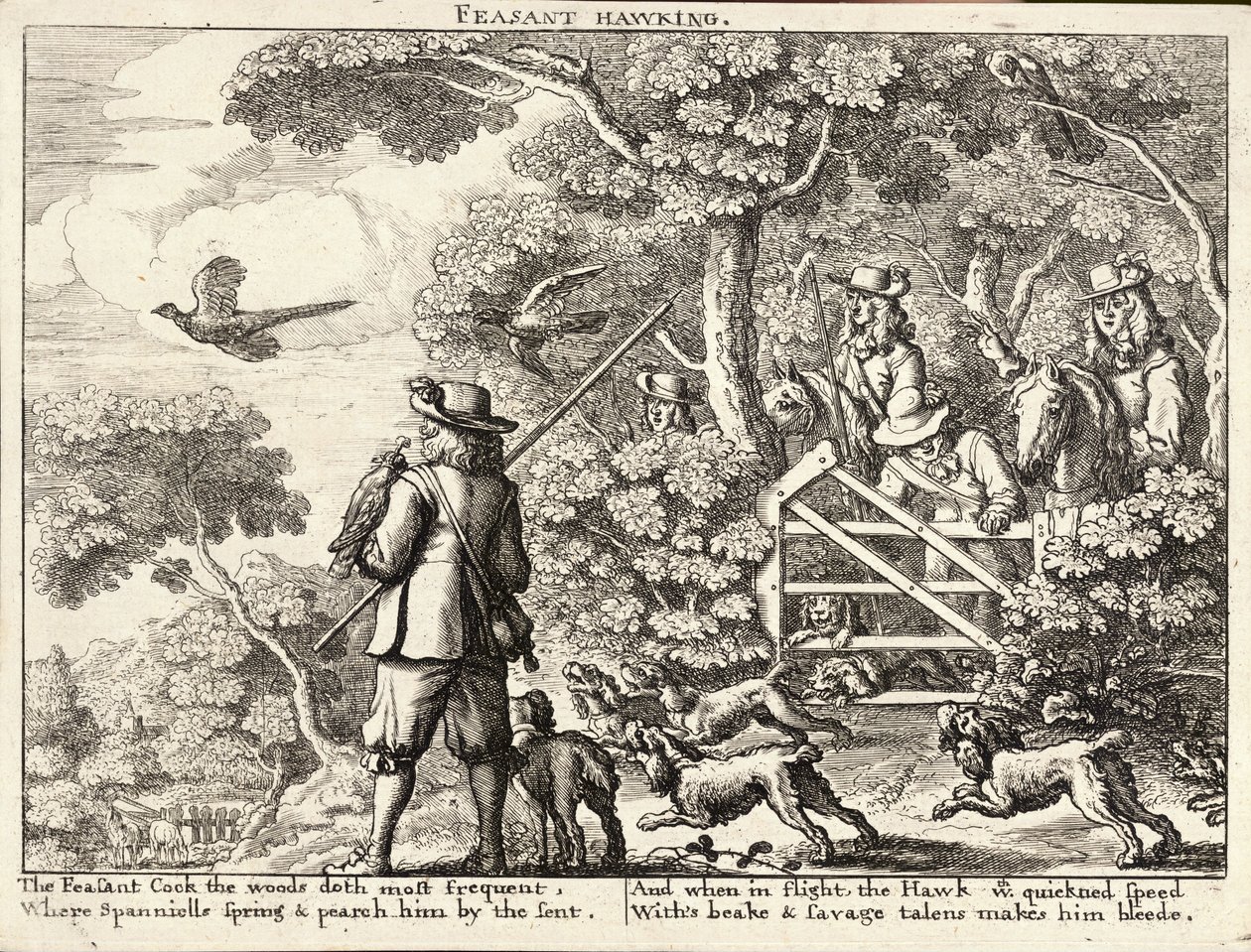 Caza de faisanes de Wenceslaus Hollar
