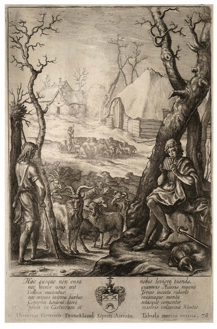 Cría de ganado. Estado 3 de Wenceslaus Hollar