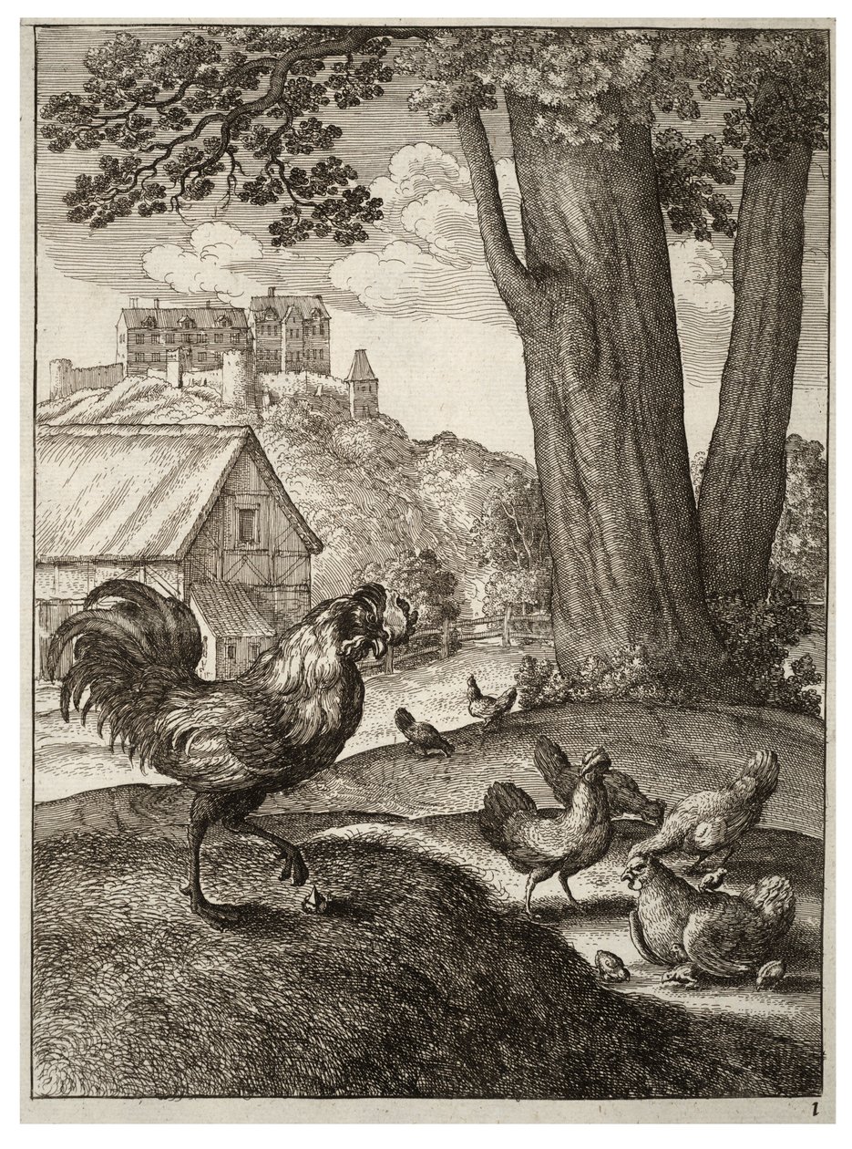 El gallo y la joya de Wenceslaus Hollar