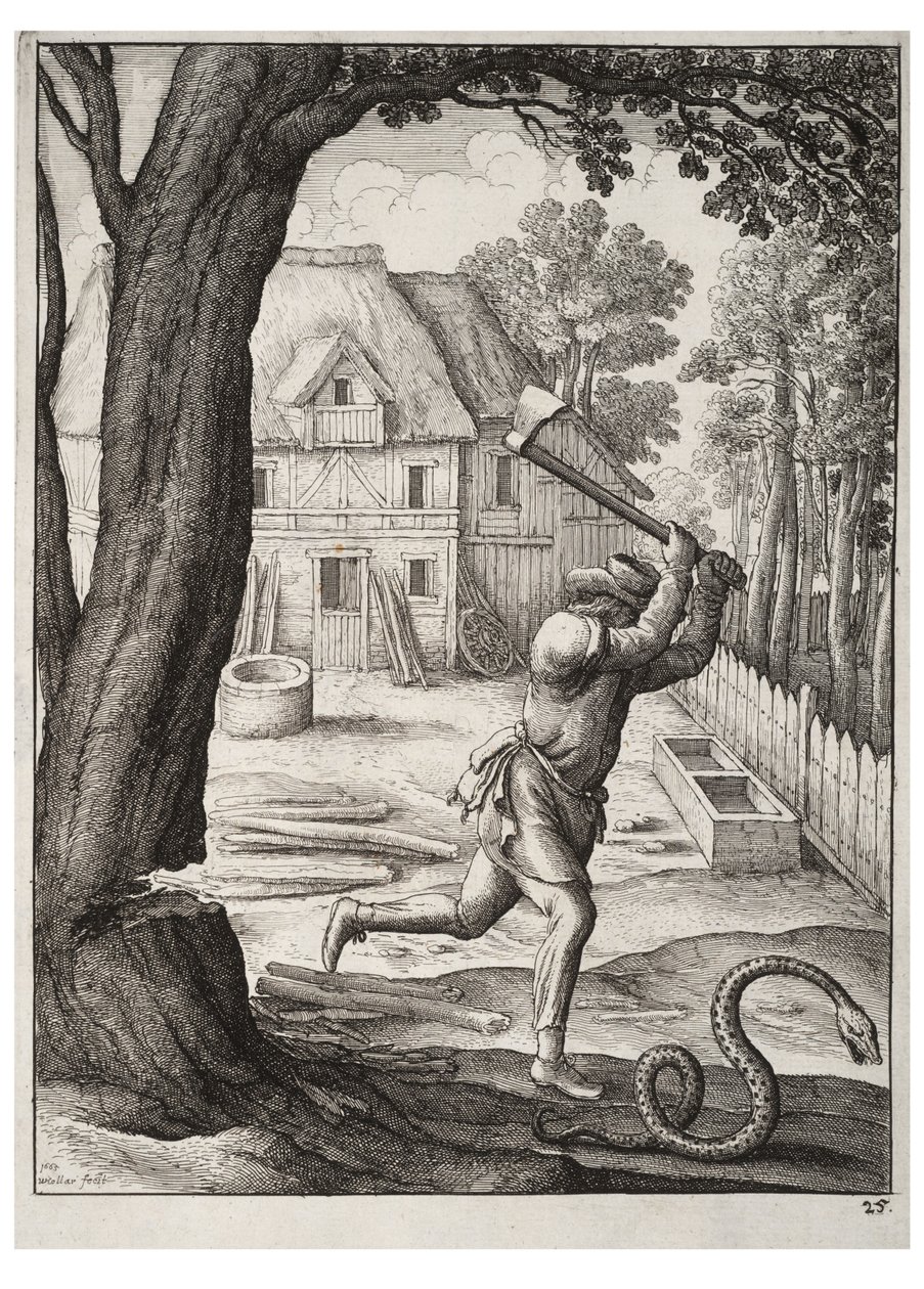 El campesino y la serpiente de Wenceslaus Hollar