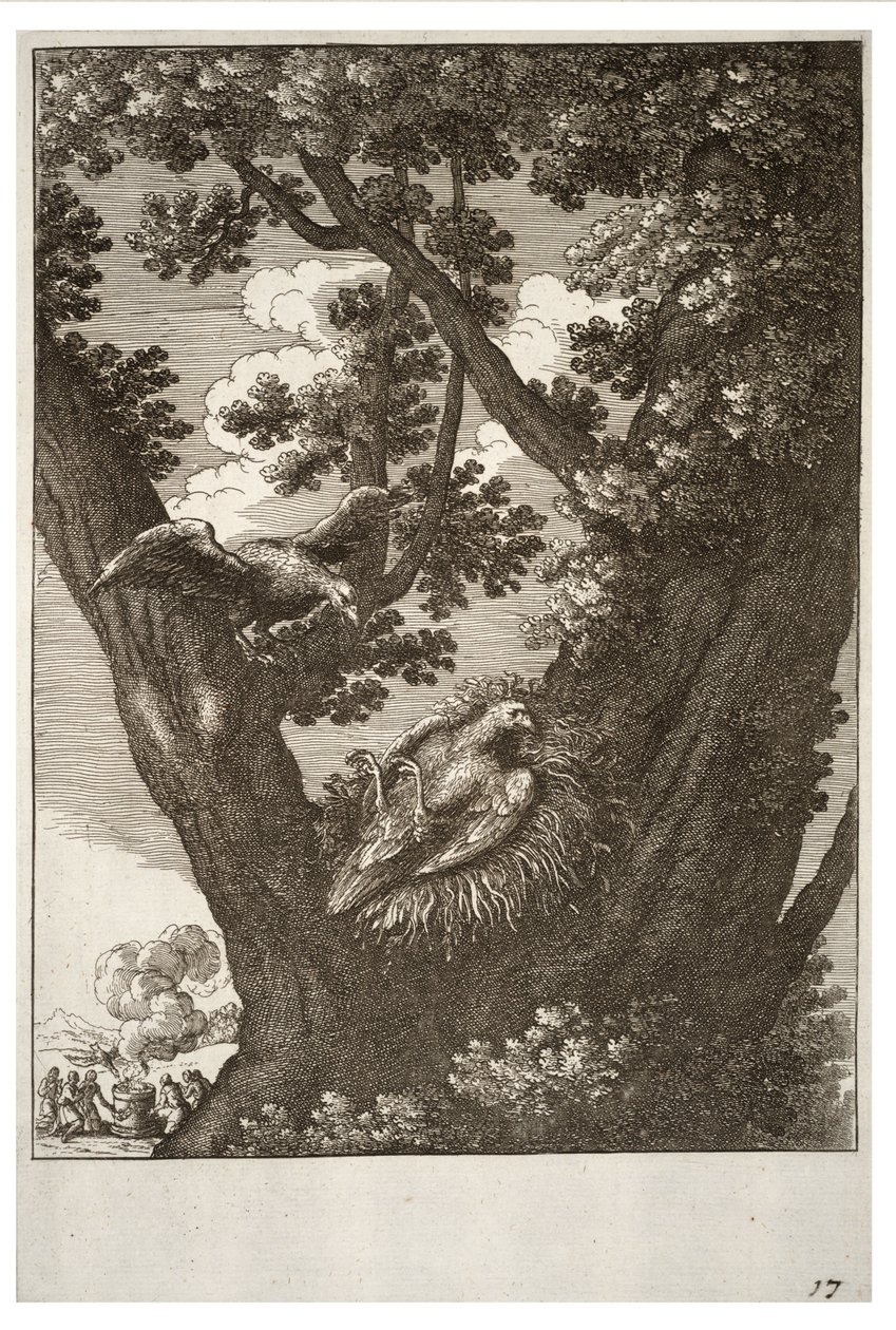 La cometa enferma y su madre de Wenceslaus Hollar