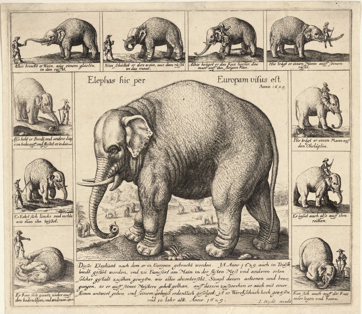 El elefante domesticado de Wenceslaus Hollar