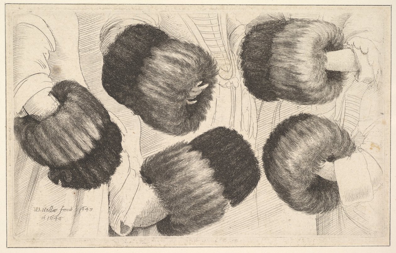 Un manguito en cinco vistas de Wenceslaus Hollar