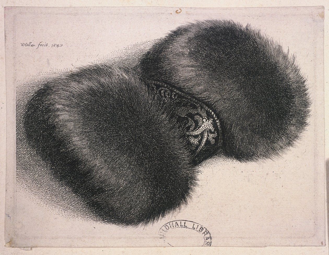 Un gran manguito con una banda de brocado, 1647 de Wenceslaus Hollar