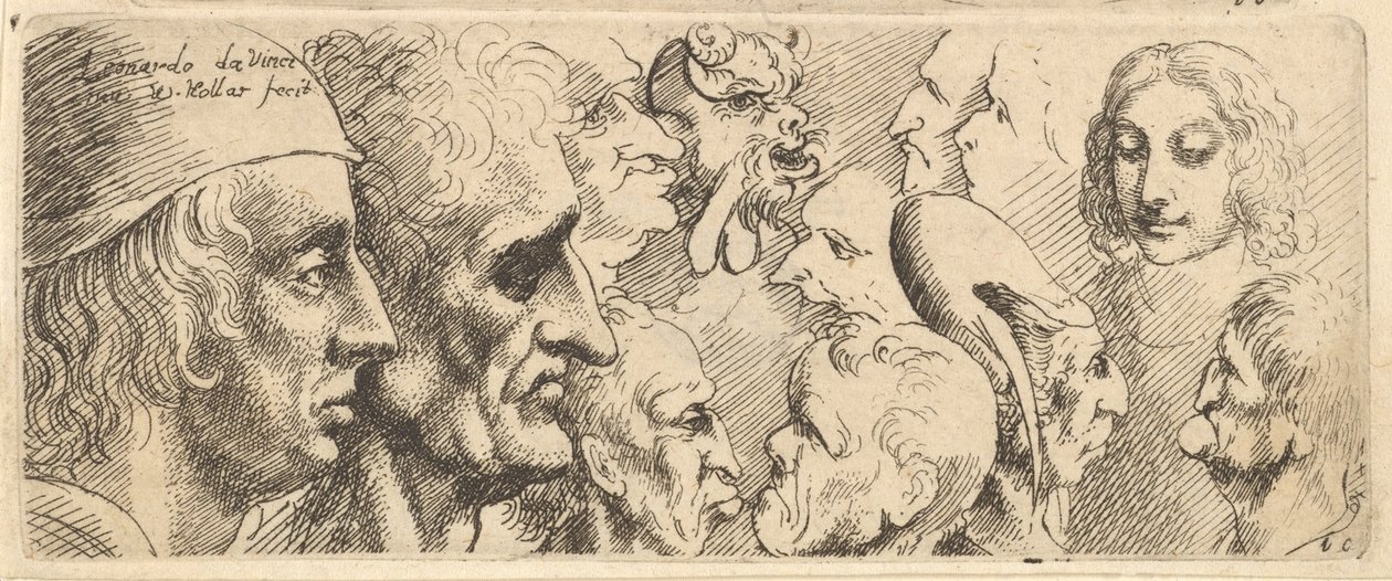Una variedad de cabezas de Wenceslaus Hollar