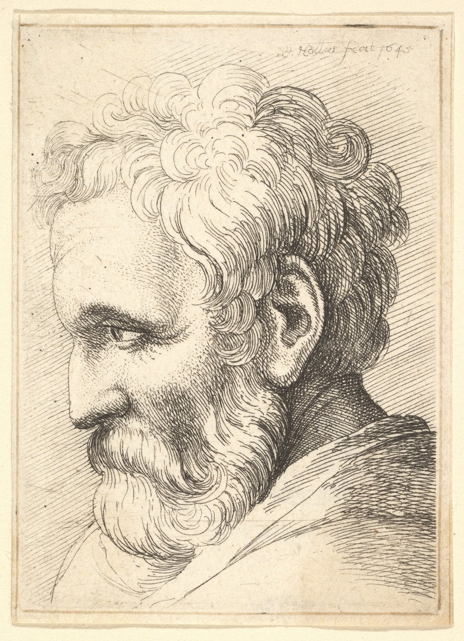 Viejo barbudo de Wenceslaus Hollar
