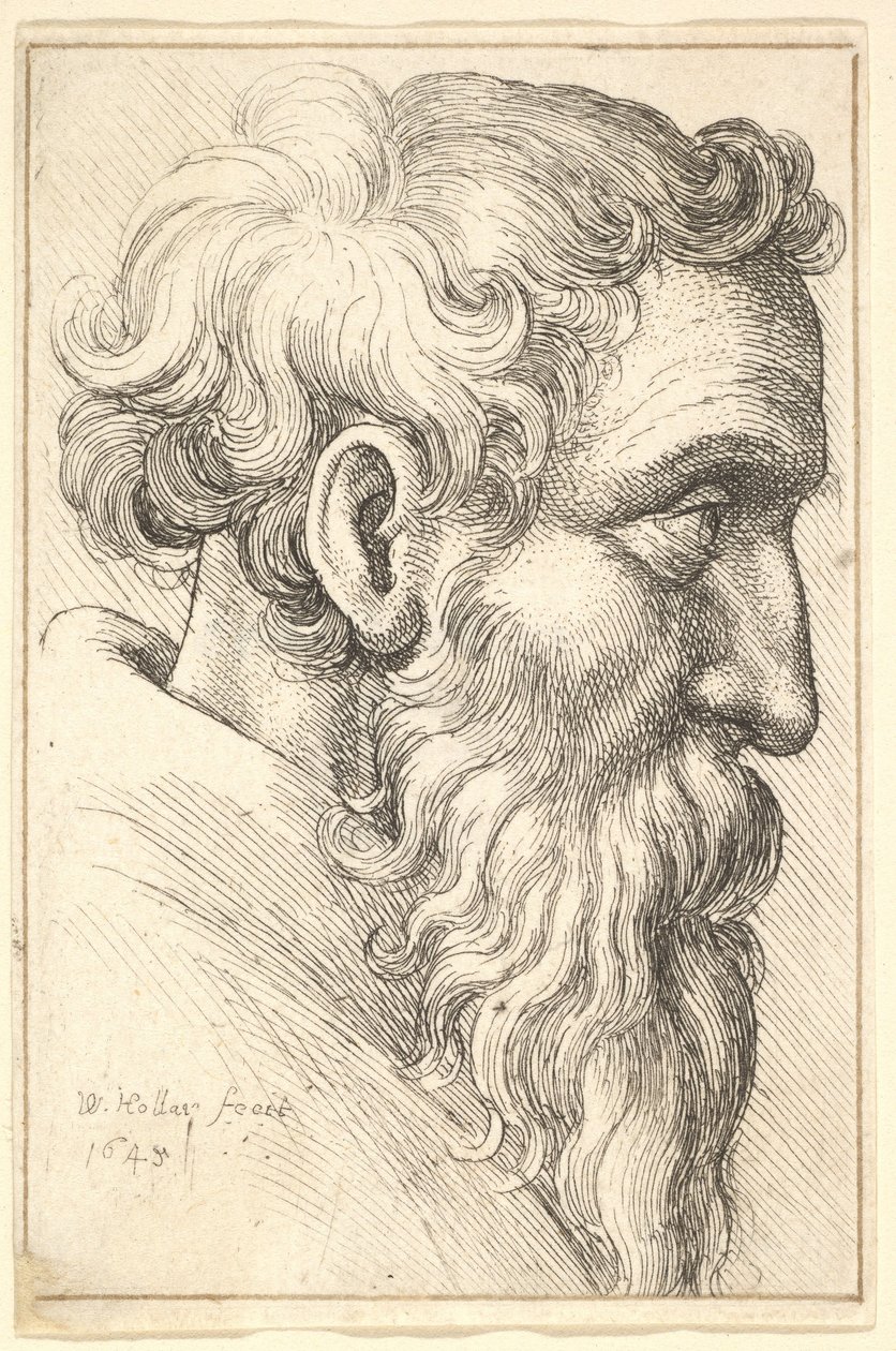 Anciano barbudo de perfil hacia la derecha de Wenceslaus Hollar
