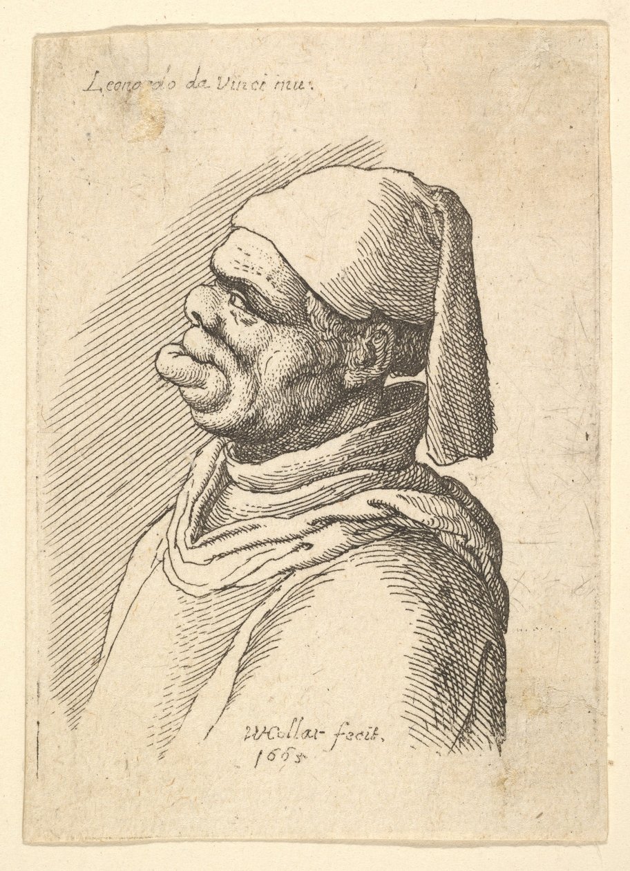 Busto de un hombre deformado con sombrero y labio inferior gordo y protuberante en perfil hacia la izquierda de Wenceslaus Hollar