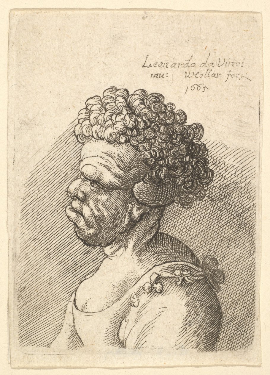 Busto de una mujer deformada con cabello rizado de perfil a la izquierda, 1665 de Wenceslaus Hollar