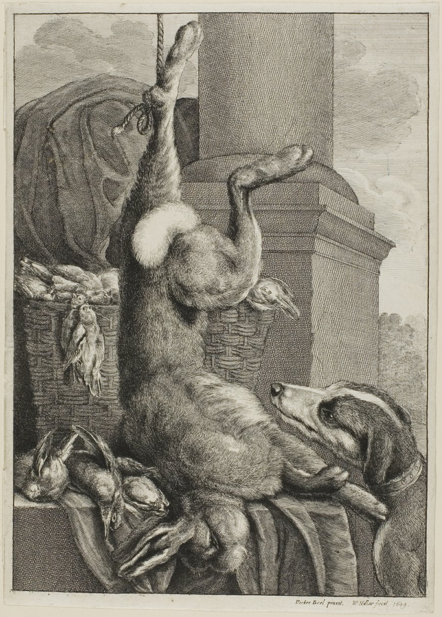 Liebre muerta de Wenceslaus Hollar