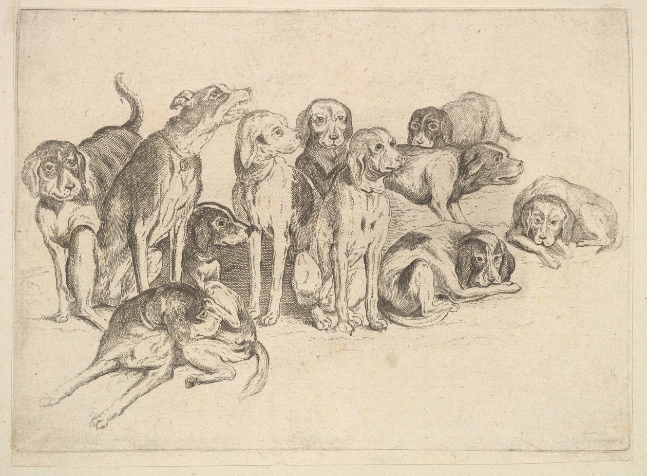 Once sabuesos de Wenceslaus Hollar